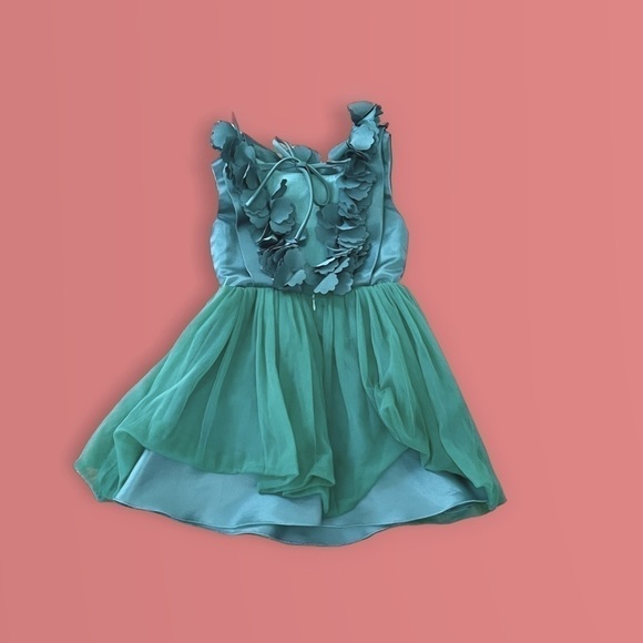 Trish Skully Size 4 Girls Dress - Picture 4 of 4